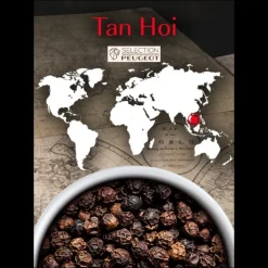 PEUGEOT Poivre Noir du Vietnam Tan Hoi Sachet 20 g (x7)