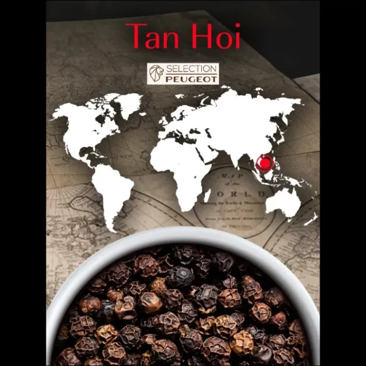 PEUGEOT Poivre Noir du Vietnam Tan Hoi Sachet 20 g (x4) Discount