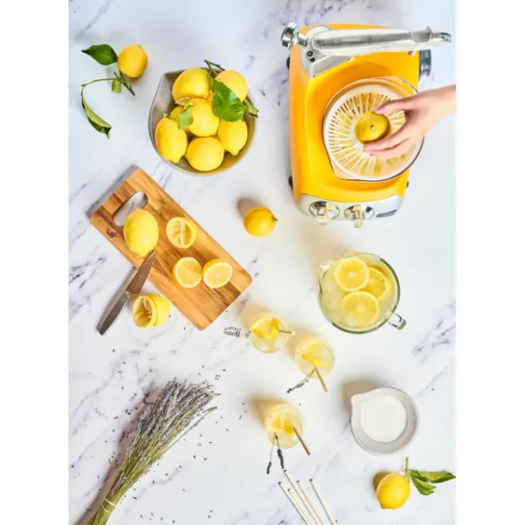 ANKARSRUM Presse Agrumes pour le robot culinaire Hot