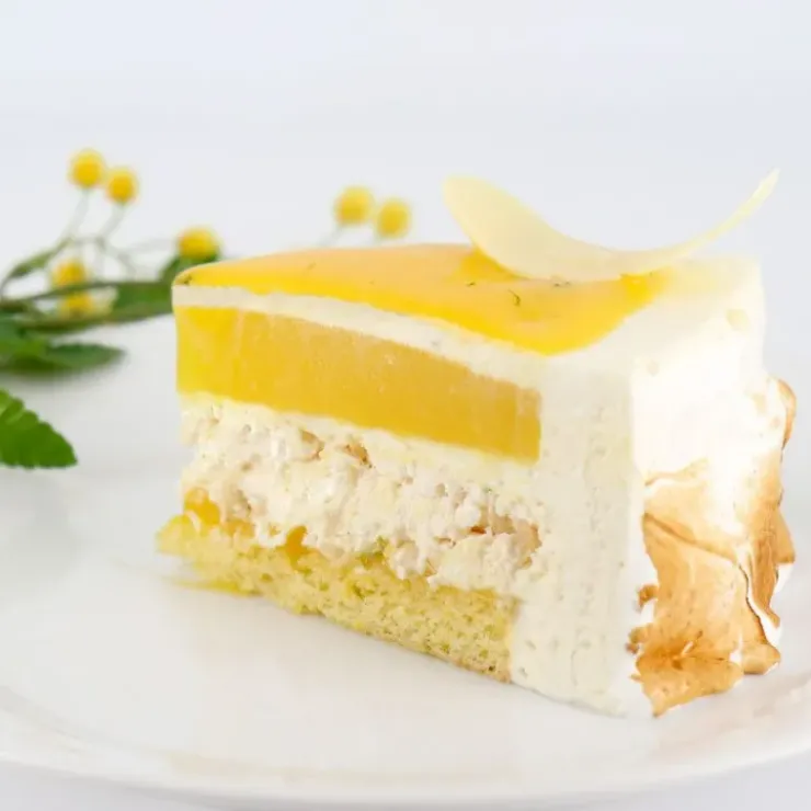 PATISDECOR Préparation Bavarois Gel Citron 100 g Patisdécor Discount