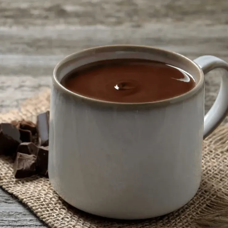 PATISDECOR Préparation Instantanée pour Boisson Cacao Intense 300 g Patisdécor Hot