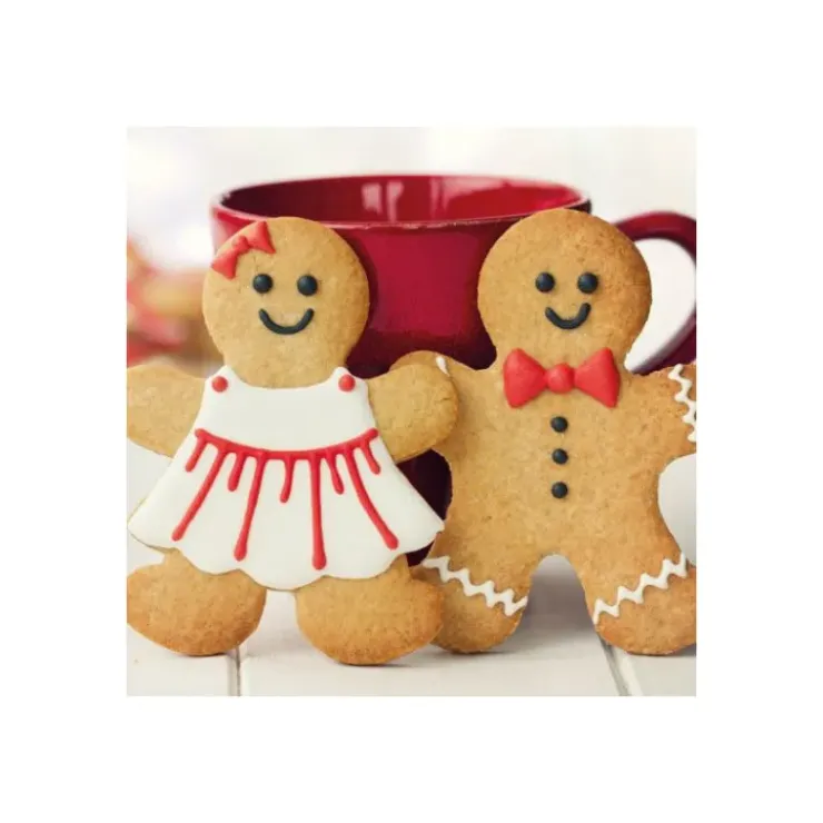 FUNCAKES Préparation pour Biscuit Pain d'Épices 500 g Online