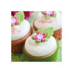 FUNCAKES Préparation pour Cupcakes Sans Gluten 500 g Best