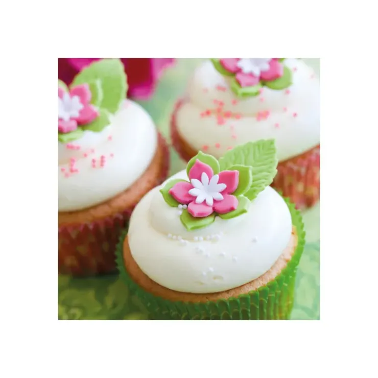 FUNCAKES Préparation pour Cupcakes Sans Gluten 500 g Best