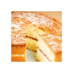 FUNCAKES Préparation pour Sponge Cake Sans Gluten 500 g Outlet