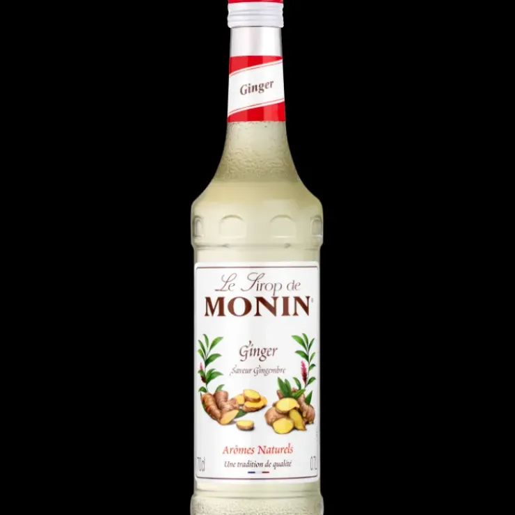 MONIN Sirop Gingembre 70 cl