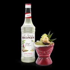 MONIN Sirop Gingembre 70 cl