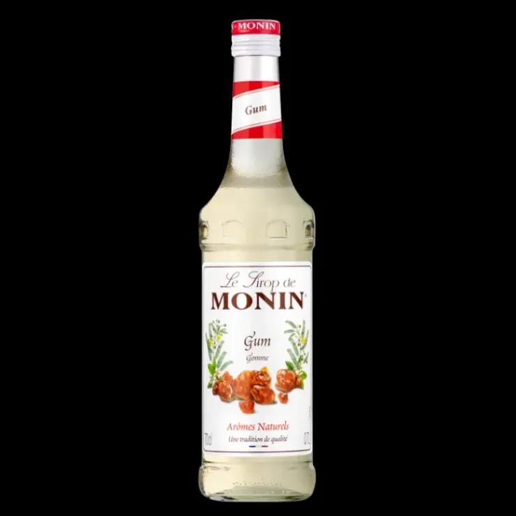 MONIN Sirop Gomme 70 cl New