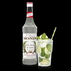 MONIN Sirop Sucre de Canne 70 cl Online