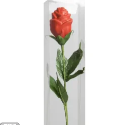 CHOCOLATE WORLD Tiges pour Rose en Chocolat x200 Online