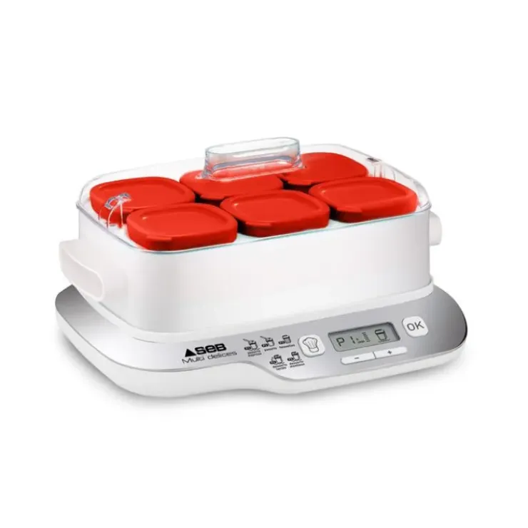 SEB Yaourtière 6 pots Multi Délices Express Compact 450 W Sale